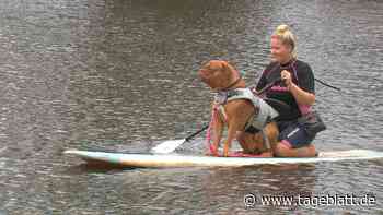 Stand-up-Paddlerin aus Stade im NDR-Fernsehen zu sehen - Stade - Tageblatt-online