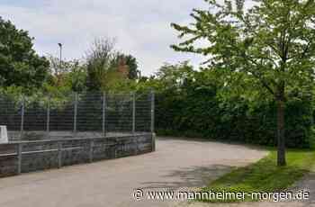 Der Pumptrack im Sportzentrum kommt - Hirschberg - Nachrichten und Informationen - Mannheimer Morgen