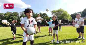 Bei SSV Raunheim kommen Minikicker groß raus - Echo Online