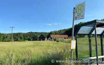 „Bleiche: So will die Stadt Memmingen dem Artenschutz gerecht werden - Allgäuer Zeitung