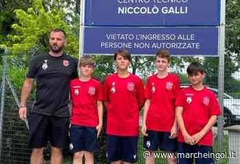 Gli occhi del Bologna sui giovani della Fortitudo Fabriano Cerreto - Marcheingol