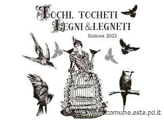 Tochi, tocheti, legni e legneti - mostra 8-18 aprile - Città di Este - Culla dei Veneti Antichi - Comune di Este