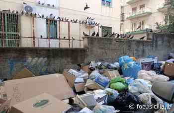 Rifiuti, Catania da emergenza sanitaria. Comune si appella alla Regione - FocuSicilia