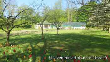 Arras : le jardin de la Préfecture se visite avec des promenades découvertes - Nord Littoral