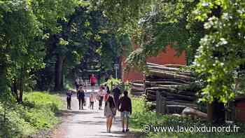 Quelles sorties « écolo » pour vous avec la communauté urbaine d'Arras ? - La Voix du Nord