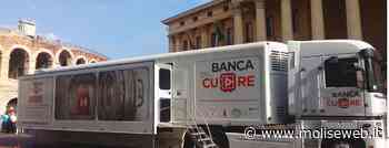 TERMOLI, DA DOMANI VISITE CARDIOLOGICHE GRATUITE IN PIAZZA SANT'ANTONIO - Molise Web