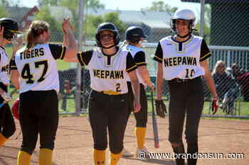 Tigers bounce back to clinch quarterfinal spot - The Brandon Sun