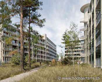 Bad Aibling und das Nagelhaus - Hochparterre.ch – News in Architektur, Planung und Design