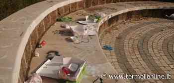 Termoli: Il porcile degli altri - Termoli Online