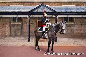 France to give Queen Republican Guard horse for her Platinum Jubilee - Barrhead News