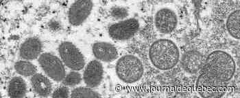 La grippe aviaire et l’humain: Des précautions à prendre