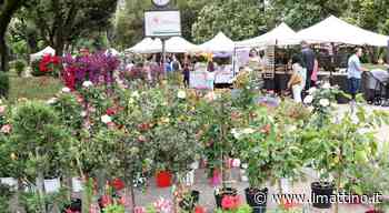 Per «Benevento in fiore» svolta da 10mila presenze - ilmattino.it