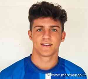 ECCELLENZA. Tris del Fossombrone: il Grottammare crolla nella ripresa - Marcheingol