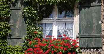 Tuinhier Ichtegem bestaat 80 jaar en organiseert samen met het gemeentebestuur een wedstrijd op zoek naar de mooiste gevel- en voortuinen - Het Laatste Nieuws
