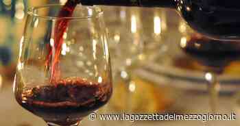 Primitivo di Manduria, il Consorzio è unanime: «Stop al marchio Dogc» - La Gazzetta del Mezzogiorno