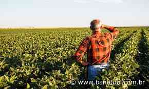 “Fazenda Legal” leva agricultura do futuro para Itaperuna - Band Jornalismo
