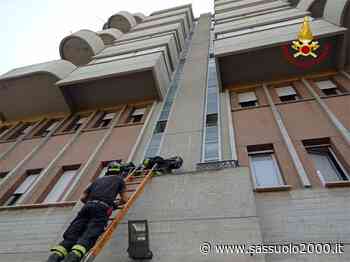 I vigili del fuoco recuperano un gatto sfuggito ai proprietari a Modena - sassuolo2000.it - SASSUOLO NOTIZIE - SASSUOLO 2000