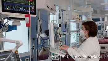 Modena, il direttore dell'igiene pubblica Casaletti: «Vaiolo, massima attenzione» - La Gazzetta di Modena