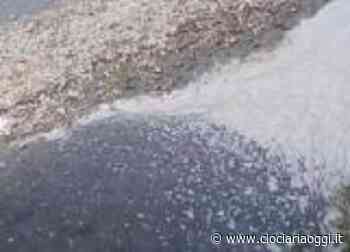 Ancora schiuma nel fiume Liri. Fare Verde:«Sversamenti che restano impuniti» - ciociariaoggi.it