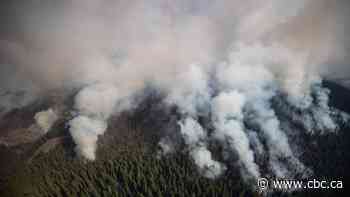 As wildfire season approaches, new studies show air pollution linked to severe health outcomes