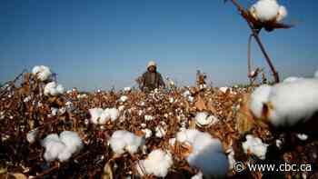 The forced labour filling our closets: U.S. is coming after it in an unprecedented way