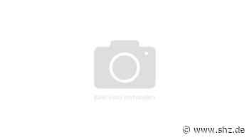 Sammelklage gegen S 21 +++ Hanf in Schenefeld +++ Endlos-Diskussion um Bücherei - shz.de