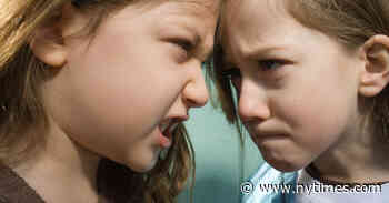 Opinion | Don’t Referee Every Schoolyard Conflict. Help Kids Learn to Solve Them on Their Own. - The New York Times