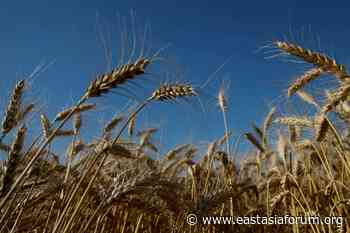 Food security now top priority for G20 cooperation - East Asia Forum