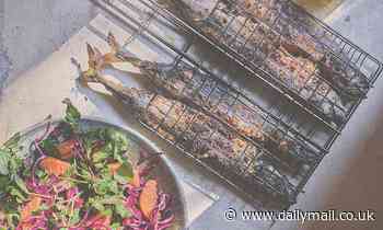 Food: Ole, Jose! Summer is served - Daily Mail