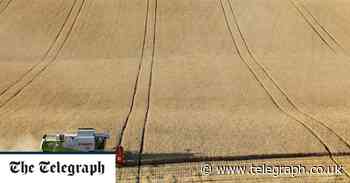Britain faces a food price shock it cannot outrun - The Telegraph