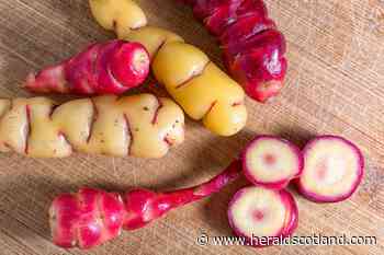 Gardening: What food will gardeners be growing in future? - HeraldScotland