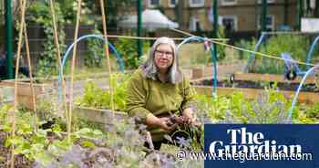 London’s food-growing schemes offer harvest of fruit, veg and friendship - The Guardian