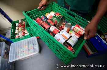 Food banks warn of surge in demand this summer unless free school meals extended - The Independent
