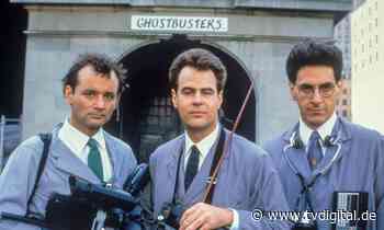 TV-Tipp: „Who you gonna call?“ | TV DIGITAL - TV Digital