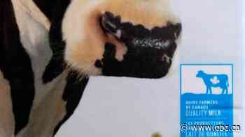 Dairy farmers seek 2nd milk price hike this year, citing inflation