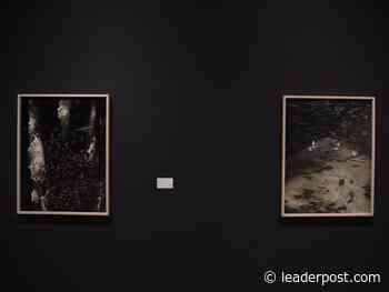 Briefly: New exhibition opens at MacKenzie Art Gallery - Regina Leader Post