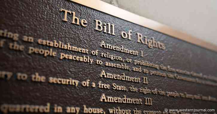 MSNBC's Chris Hayes Gets Schooled on Conservatives' 'Obviously Deranged Reading' of the Second Amendment