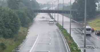 Verschillende straten in Waregem onder water door hevige regenval - Het Laatste Nieuws