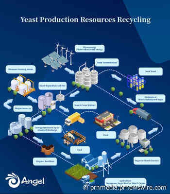 Angel Yeast steigert die Beschaffung neuer Energie zur Verringerung von Kohlenstoffemissionenen