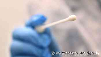 Corona-Update am Freitag: Mehr als 600 neue Fälle - „eklatante Untererfassung“ - soester-anzeiger.de