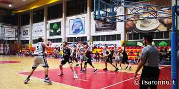 Basket C Gold, semifinale playoff: oggi Busto-Az Saronno. Come vederla - ilSaronno