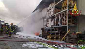 FORLI': Incendio in una azienda, distrutto il deposito dei pallet | FOTO - Teleromagna24