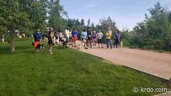 9th annual 'Doggie Dash' 5K held Sunday to support dogs in need - KRDO