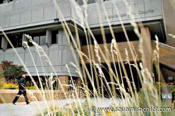 B.C. informal family court promising for domestic violence victims: advocates - Squamish Chief