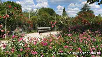 Près de Rouen, le parc de la Roseraie du Grand-Quevilly se réinvente et le fait savoir samedi 4 juin - Paris-Normandie
