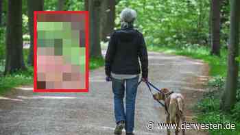 Hund in Essen hat plötzlich DAS im Mund – Halterin entsetzt: „Ekelhaft“ - DER WESTEN