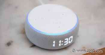 Is Alexa Having Trouble Understanding You? Solve These Common Amazon Echo Issues     - CNET