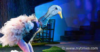 Review: ‘Third Bird’ Doesn’t Quite Land