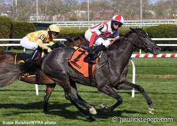 Skims, Consumer Spending Look To Make Grade In Wonder Again At Belmont - Horse Racing News - Paulick Report