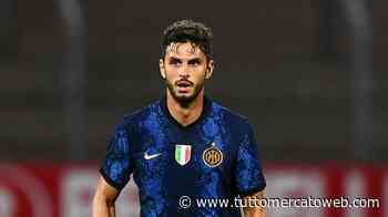 Il Bari sogna in grande: Ranocchia e Ceppitelli per la difesa, ma sono suggestioni complesse - TUTTO mercato WEB